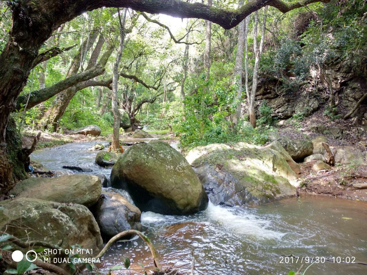 Secret Valley Jungle Resort Ooty Dış mekan fotoğraf