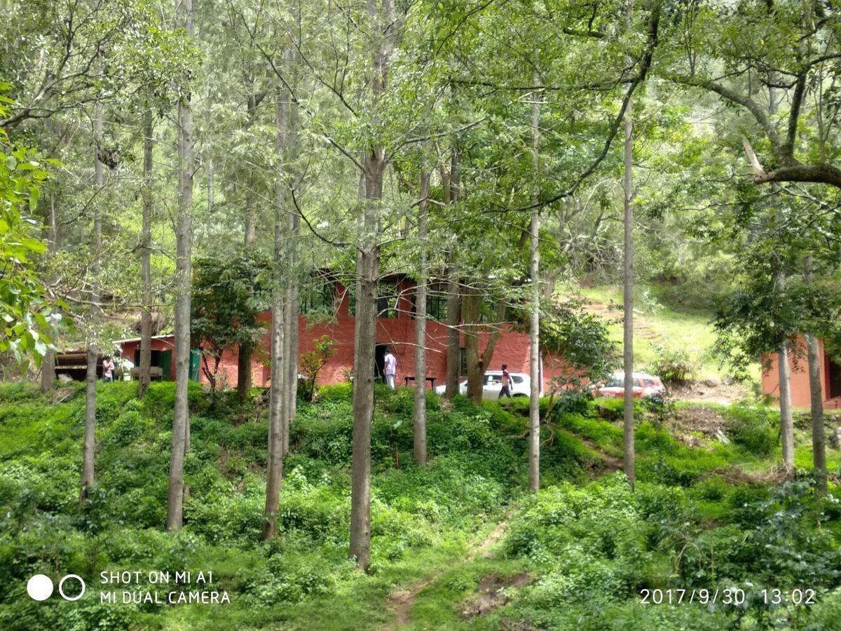 Secret Valley Jungle Resort Ooty Dış mekan fotoğraf