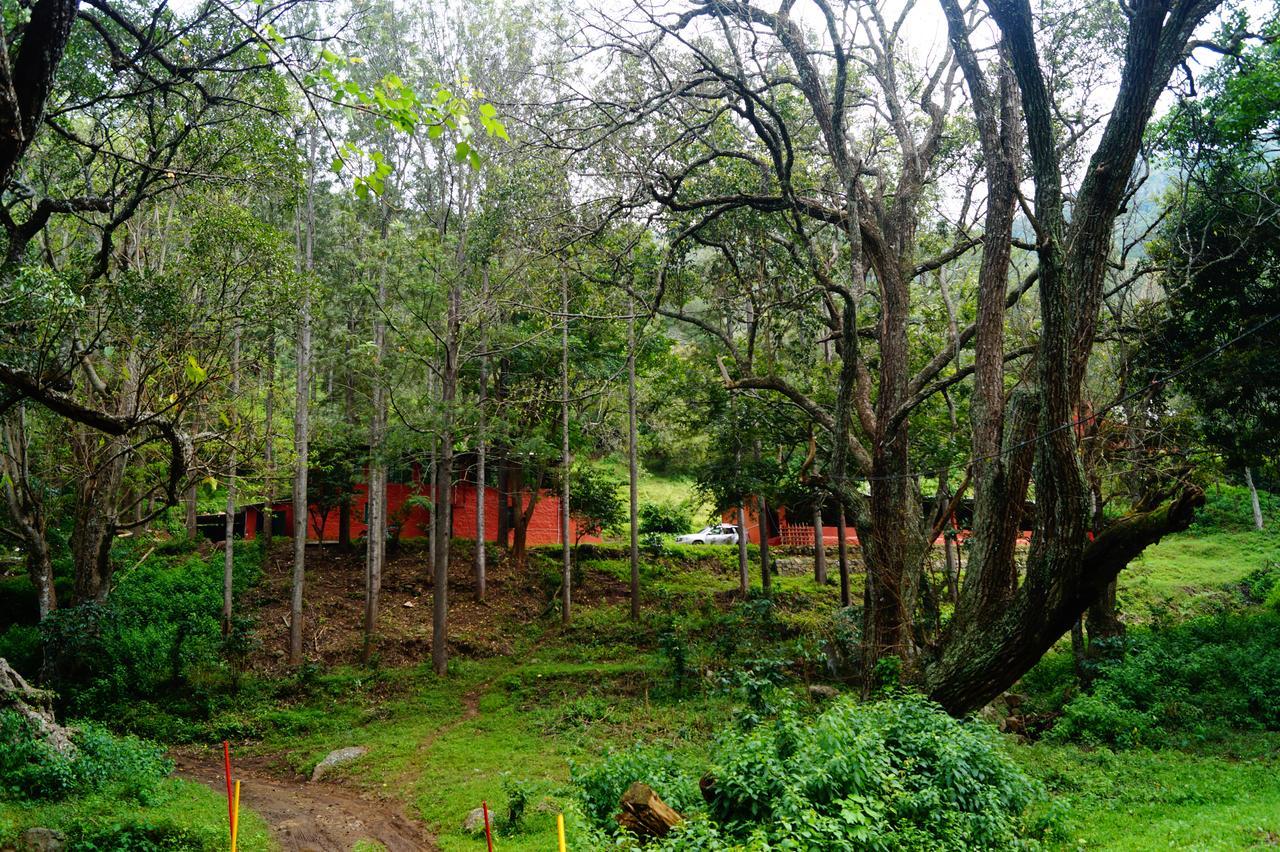Secret Valley Jungle Resort Ooty Dış mekan fotoğraf