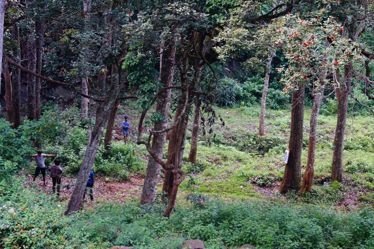 Secret Valley Jungle Resort Ooty Dış mekan fotoğraf