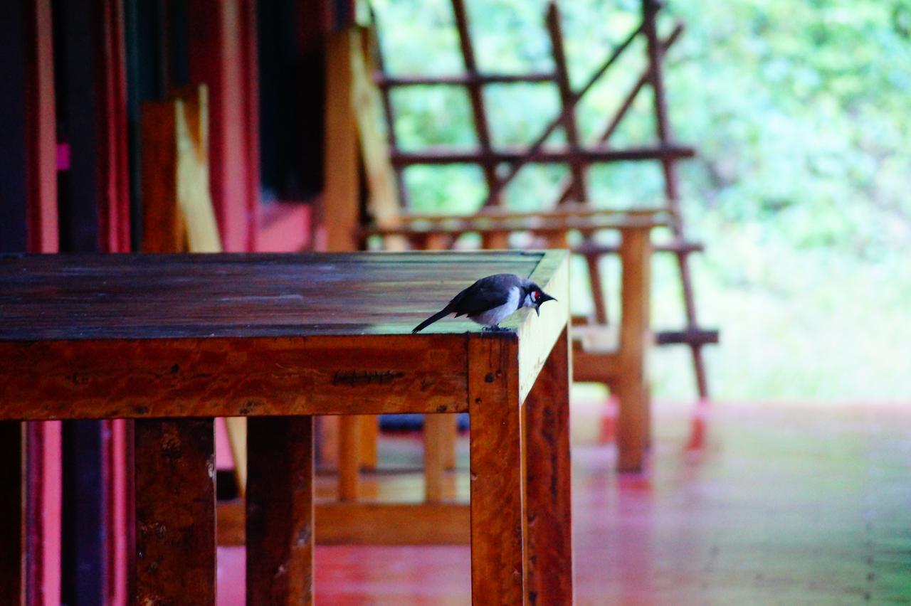 Secret Valley Jungle Resort Ooty Dış mekan fotoğraf